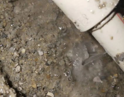 德州市测漏水电话号码