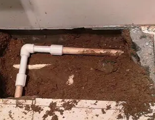 德州市测漏水哪家好