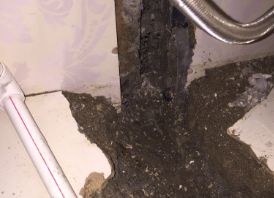 德州市卫生间测漏水哪家好