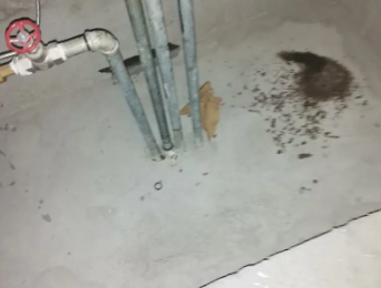 德州市卫生间测漏水价格明细