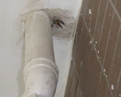 德州市漏水检测哪家好